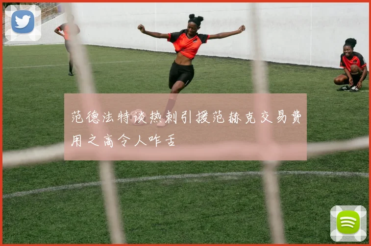 范德法特谈热刺引援范赫克交易费用之高令人咋舌